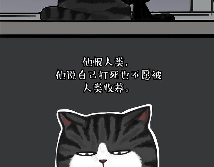 第58话 流浪生活38
