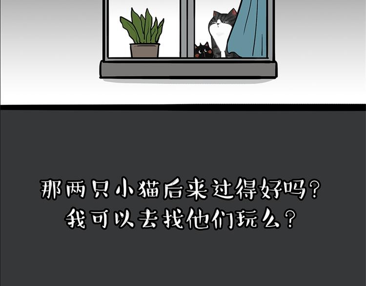 第58话 流浪生活40