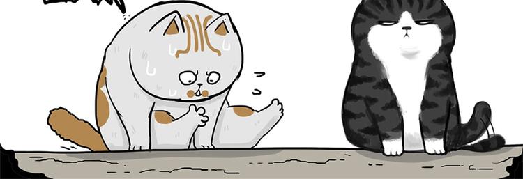 第58话 流浪生活7