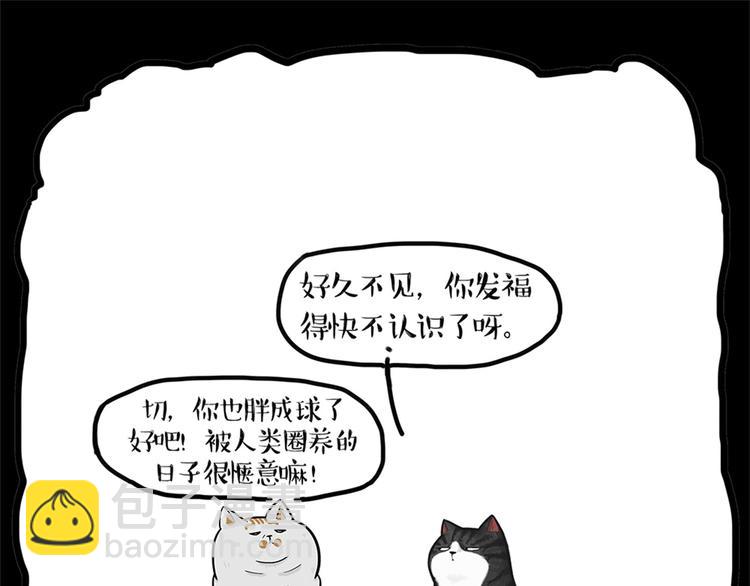 第58话 流浪生活8