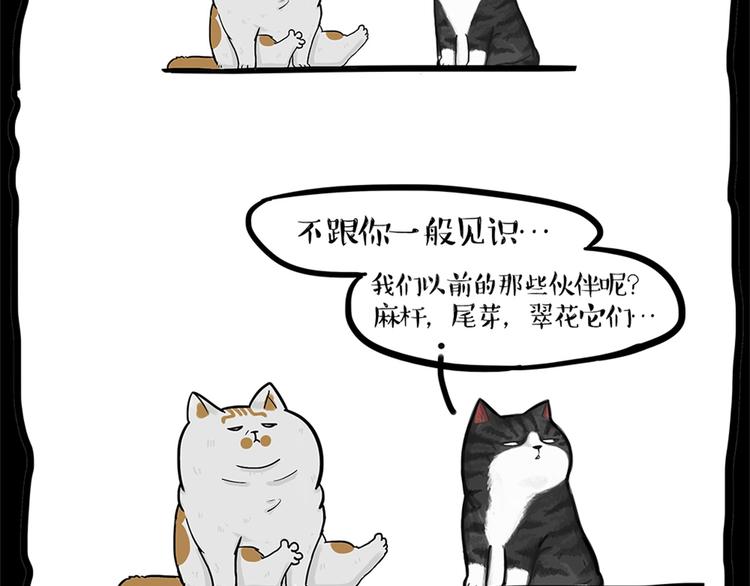 第58话 流浪生活9