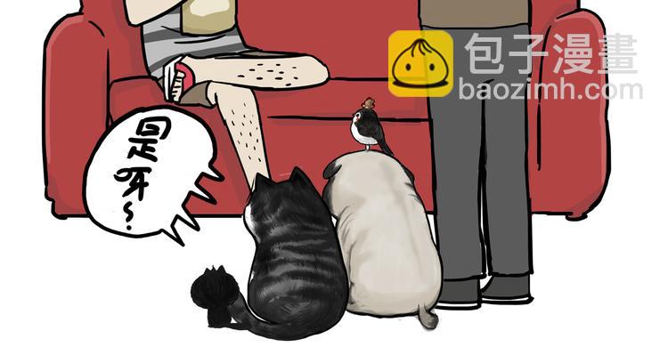 第59话 家里要断粮10