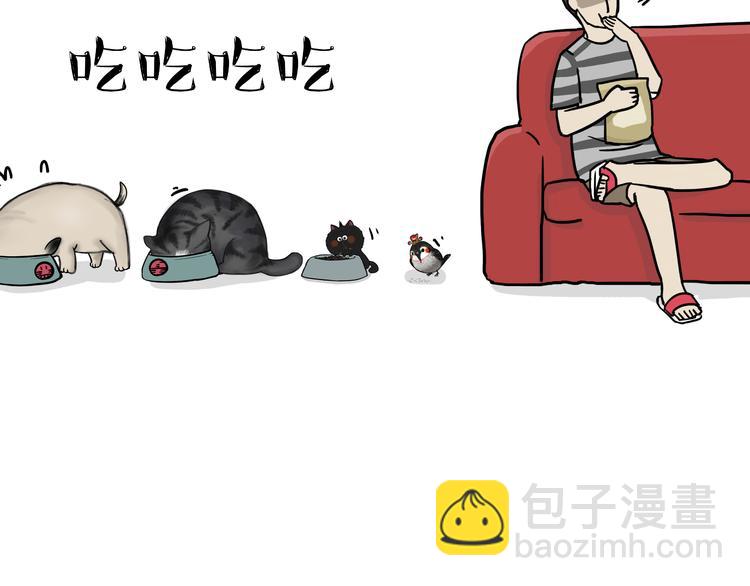 第59话 家里要断粮2