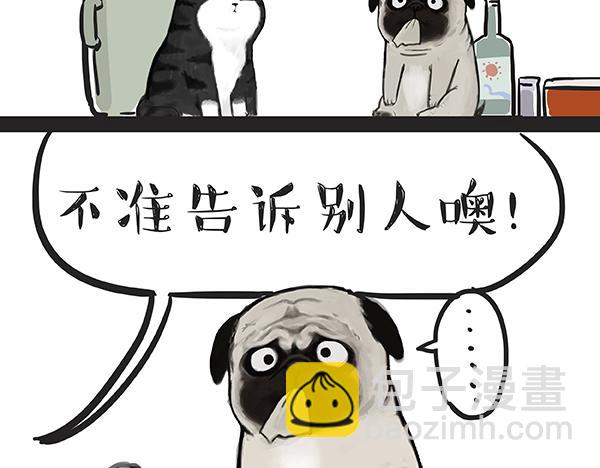 第67话 告诉你一个小秘密35