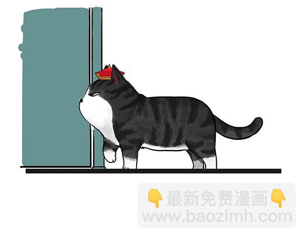 第71话 撸猫神器10