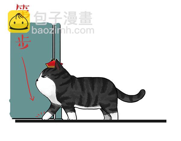 第71话 撸猫神器11