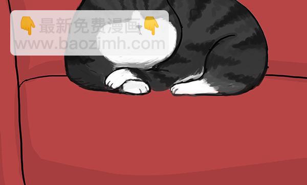 第71话 撸猫神器14