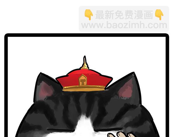 第71话 撸猫神器17