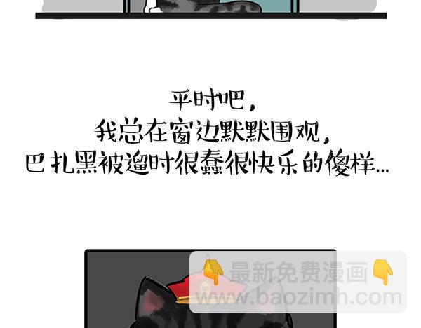 第71话 撸猫神器2
