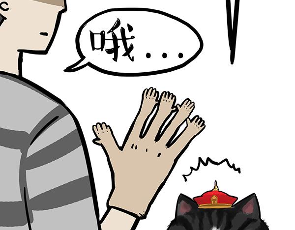 第71话 撸猫神器24