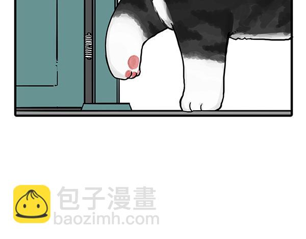 第71话 撸猫神器8