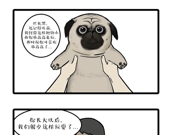 第72话 巴扎黑新用途14