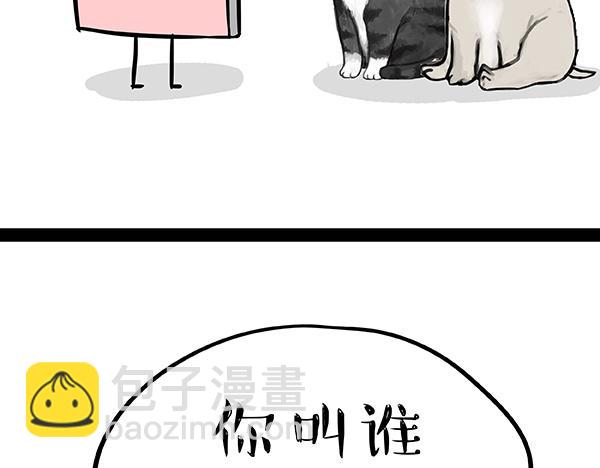 第73话 你才是肥仔嘞10
