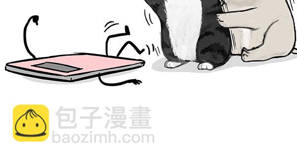 第73话 你才是肥仔嘞12