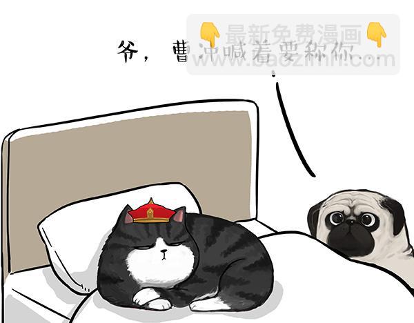 第73话 你才是肥仔嘞13