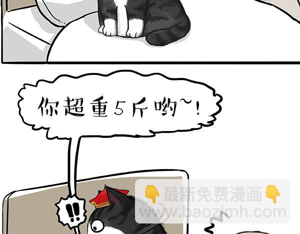 第73话 你才是肥仔嘞15
