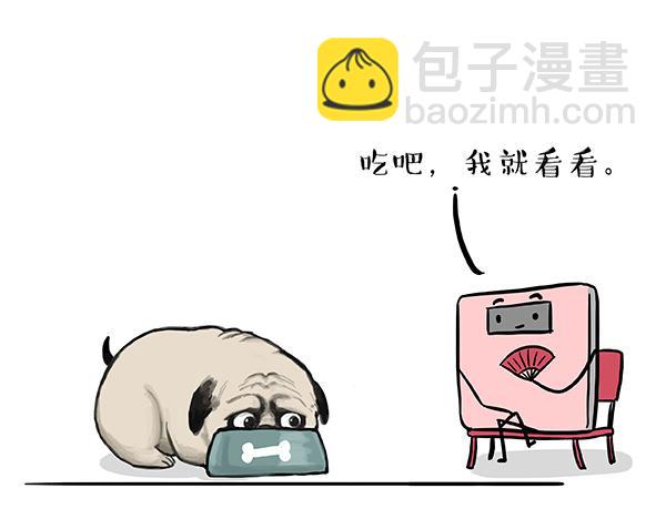 第73话 你才是肥仔嘞17