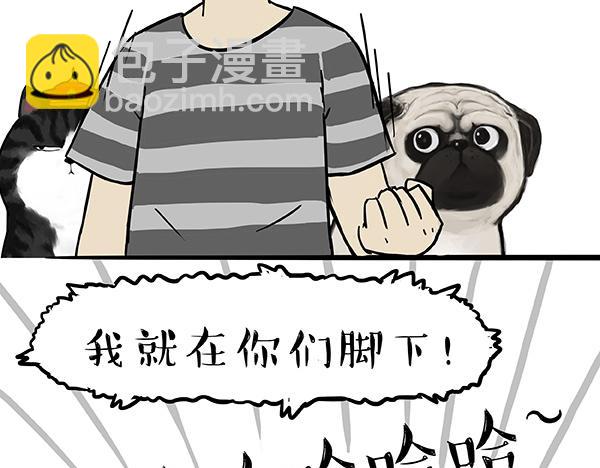 第73话 你才是肥仔嘞23