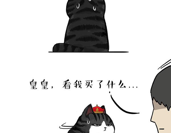 第73话 你才是肥仔嘞27