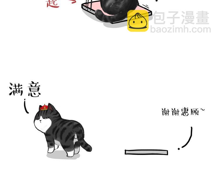 第74话 猫主子送的也敢扔11