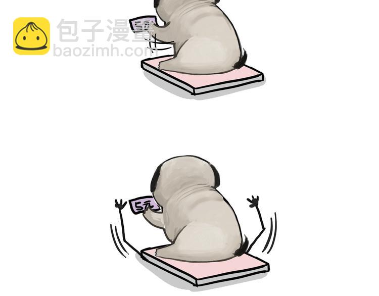 第74话 猫主子送的也敢扔13