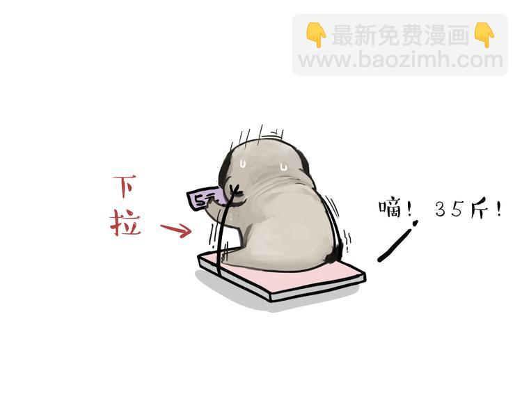 第74话 猫主子送的也敢扔14
