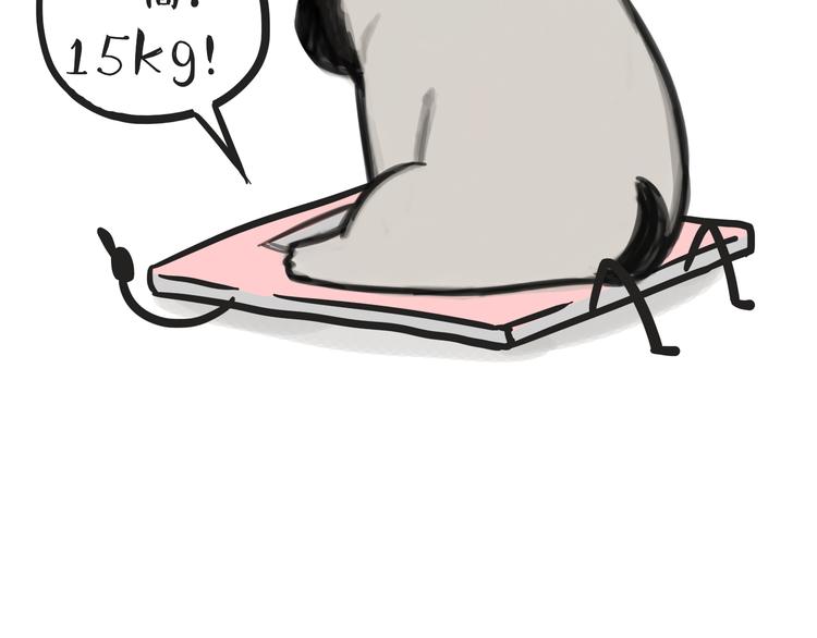 第74话 猫主子送的也敢扔20