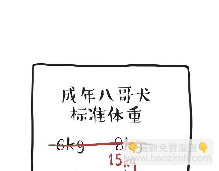 第74话 猫主子送的也敢扔21