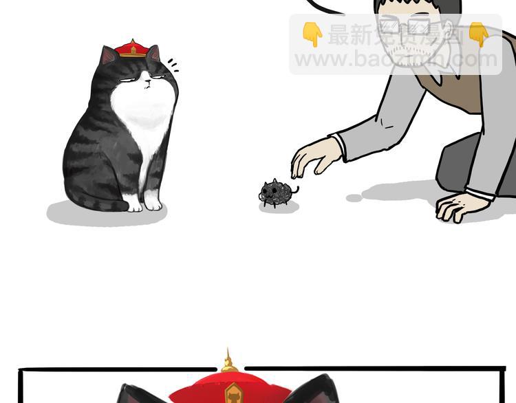 第74话 猫主子送的也敢扔4