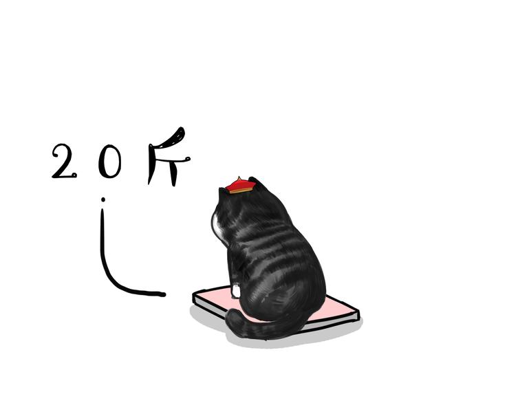 第74话 猫主子送的也敢扔8