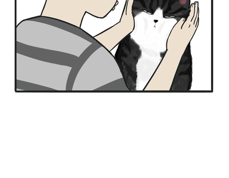 第75话 猫奴被嫌弃了1
