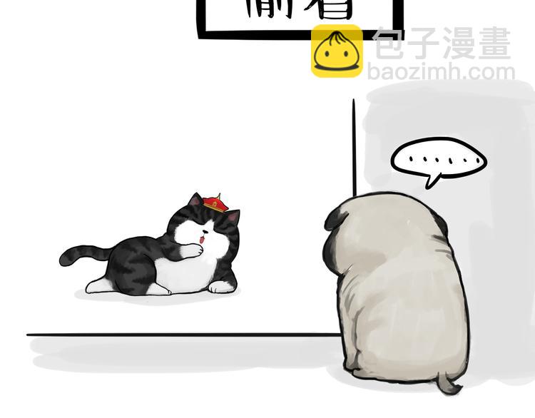 第75话 猫奴被嫌弃了14