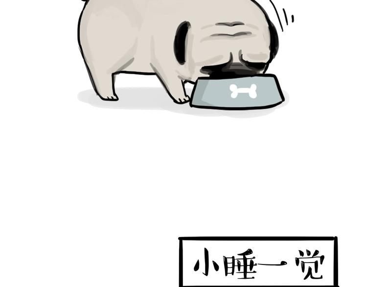 第75话 猫奴被嫌弃了16