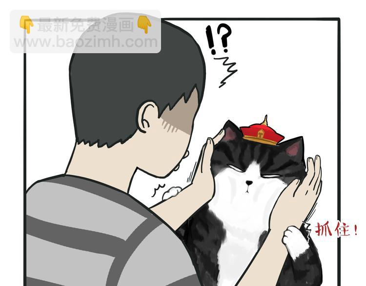 第75话 猫奴被嫌弃了2