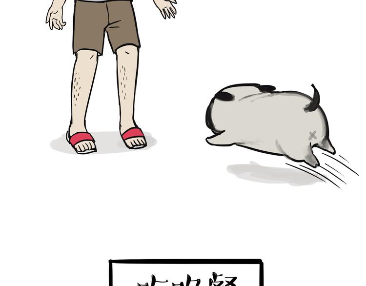 第75话 猫奴被嫌弃了23