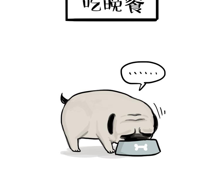 第75话 猫奴被嫌弃了24