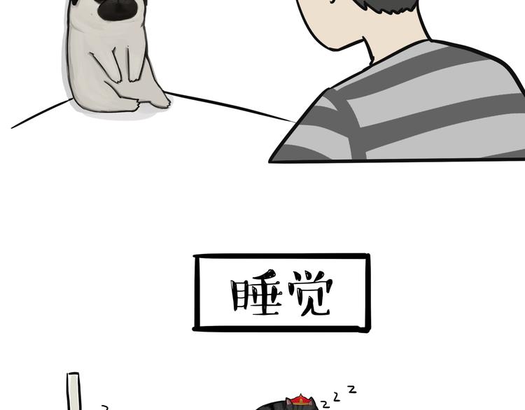 第75话 猫奴被嫌弃了28