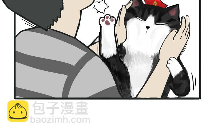 第75话 猫奴被嫌弃了4