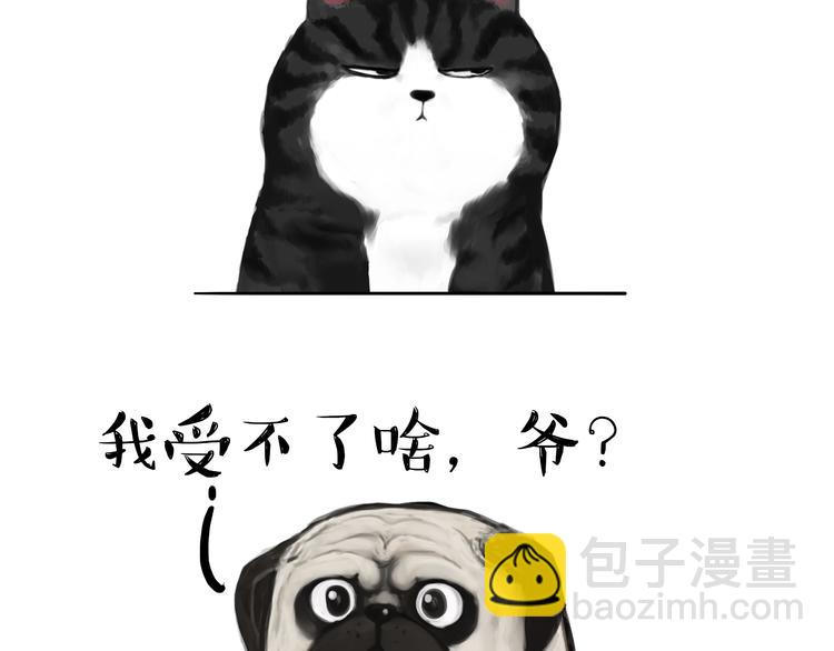 第75话 猫奴被嫌弃了6