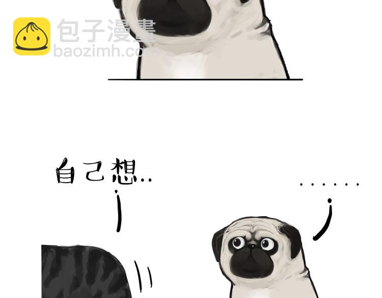 第75话 猫奴被嫌弃了7