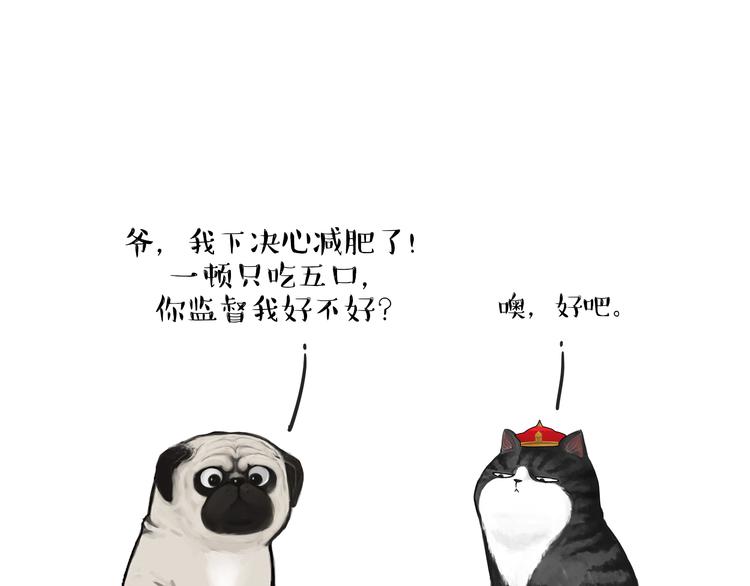 第77话 巴扎黑减肥0
