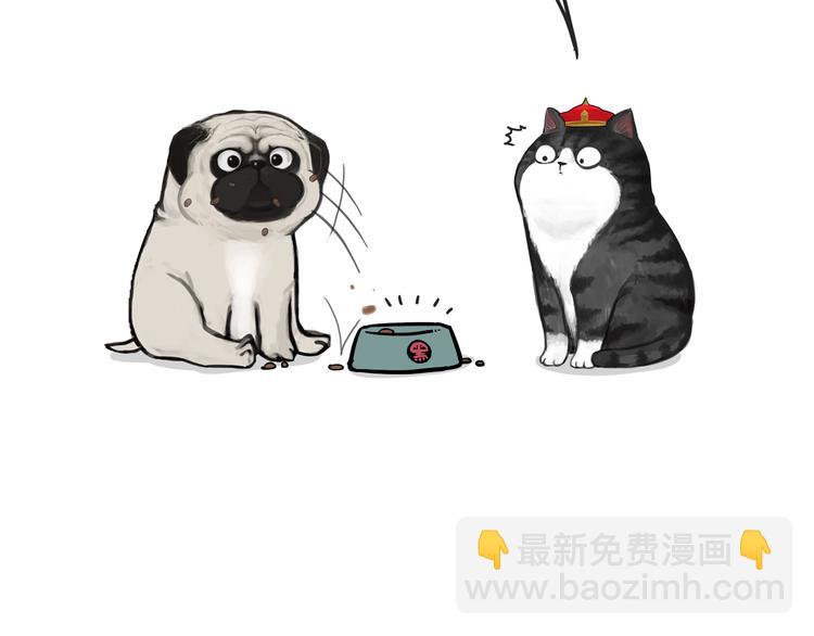 第77话 巴扎黑减肥6