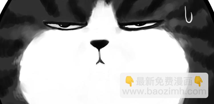 第77话 巴扎黑减肥9
