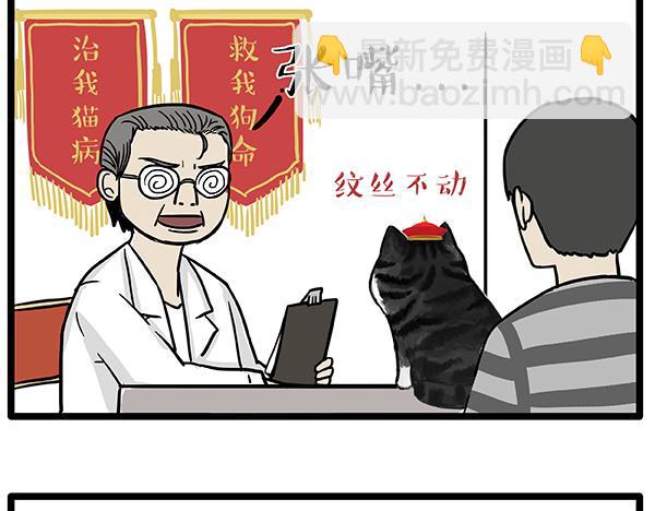 第78话 带宠物看病（上）1