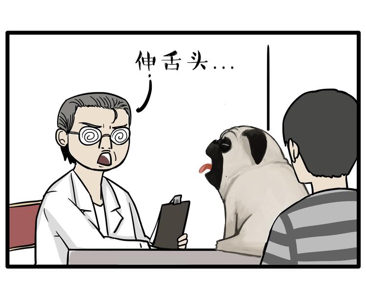 第78话 带宠物看病（上）10
