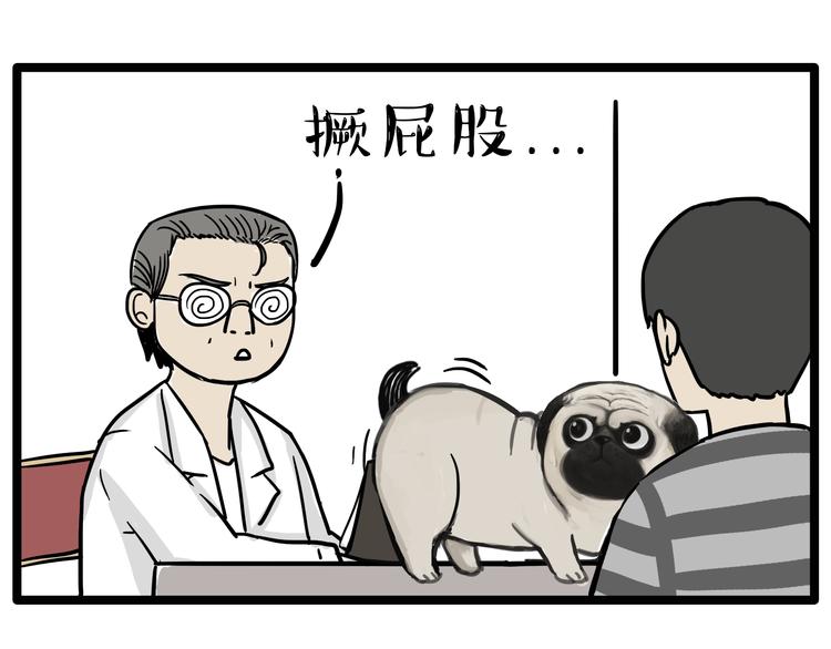 第78话 带宠物看病（上）11