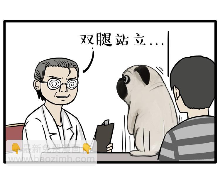 第78话 带宠物看病（上）12