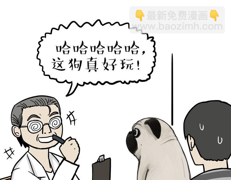 第78话 带宠物看病（上）13