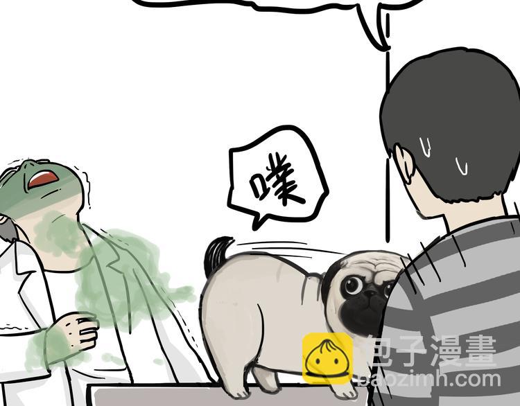 第78话 带宠物看病（上）18