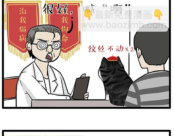 第78话 带宠物看病（上）2